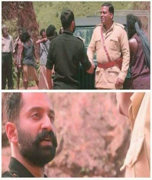 BXVD.jpg